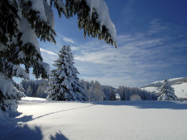 22453-monte-bondone-inverno-giovanni-cavulli | © 22453-monte-bondone-inverno-giovanni-cavulli