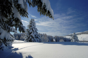 22453-monte-bondone-inverno-giovanni-cavulli | © 22453-monte-bondone-inverno-giovanni-cavulli