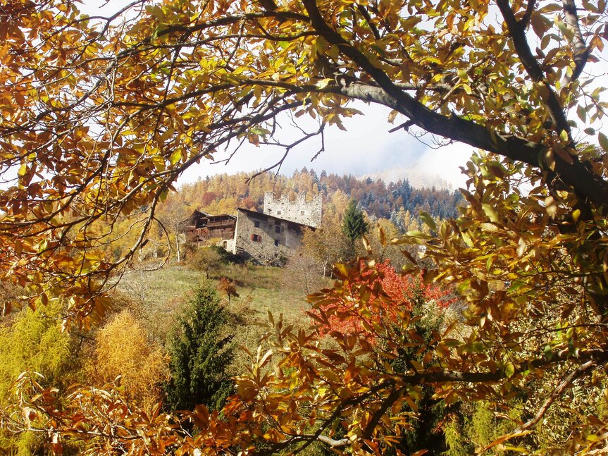 RRiserve_Alto_Noce_48_giorgio_rizzi | © RRiserve_Alto_Noce_48_giorgio_rizzi