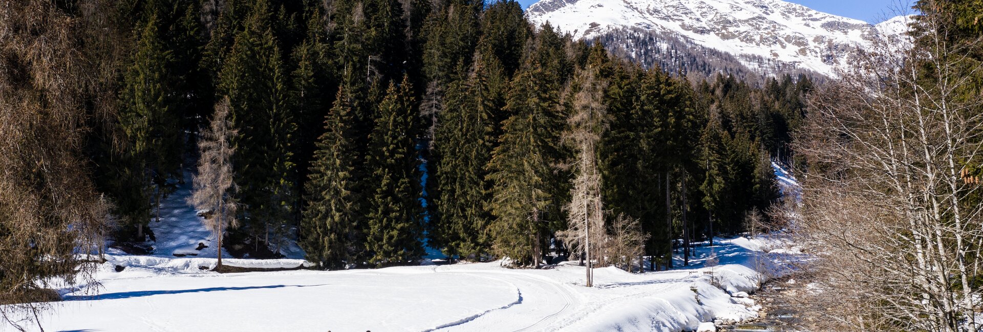 Cross-Country Skiing Rabbi