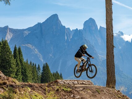 Colbricon Bike Park | © Enrica Pallaver