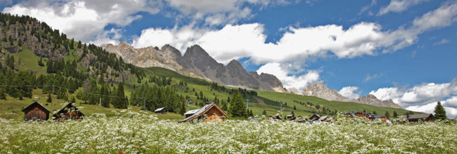 Passo San Pellegrino