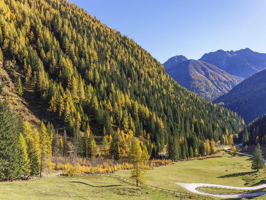 Val di Sole - Val di Rabbi - panorama