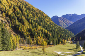 Val di Sole - Val di Rabbi - panorama