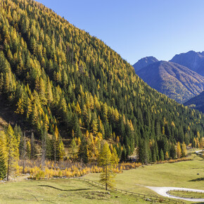 Val di Sole - Val di Rabbi - panorama