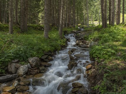 Val di Sole - Val di Rabbi - torrente