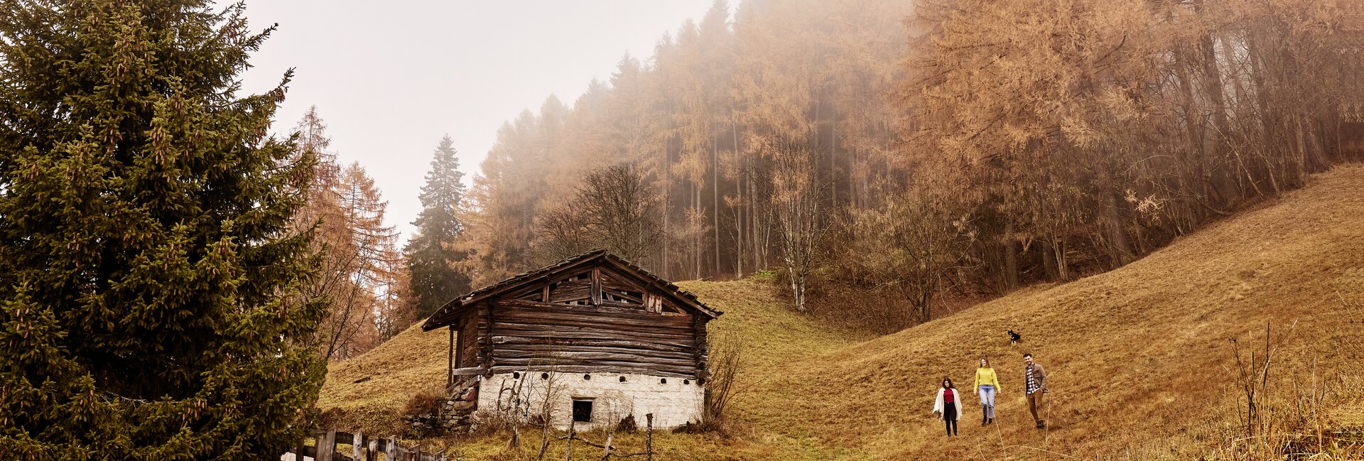 Valle dei Mòcheni