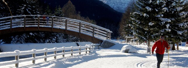 Centro Fondo Vermiglio