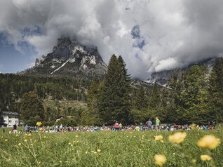 Villa Welsperg - Pale di San Martino