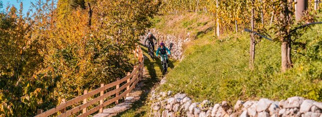 Alpe Cimbra – Folgaria Lavarone, Luserna and Vigolana
