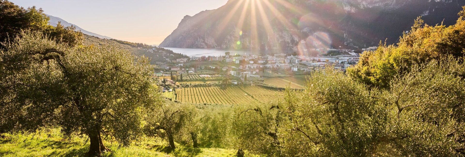 Озеро Гарда