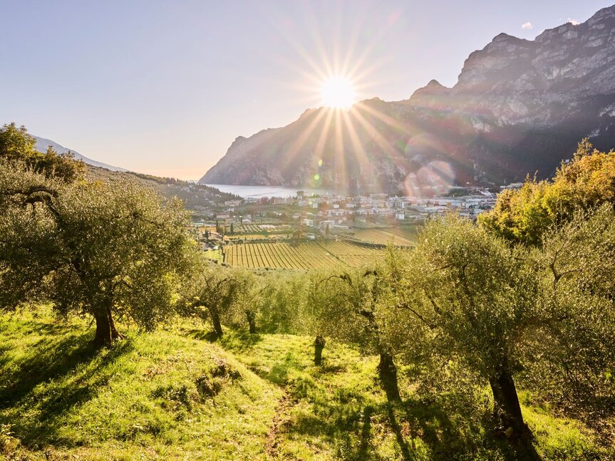 Sponda trentina del lago di Garda