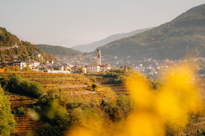 Val di Fiemme e Val di Cembra