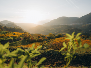 Val di Fiemme and Val di Cembra