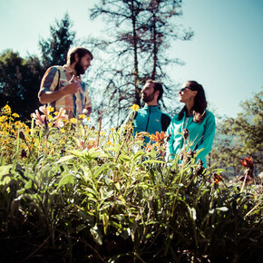 Malè - Val di Sole - Mulino Museo dell’Ape –  Discover the incredible world of bees