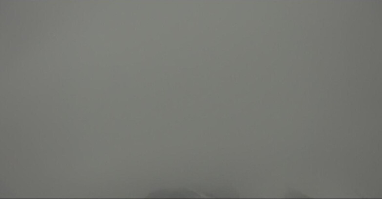 Webcam Pampeago  - Predazzo -  Obereggen - Piste