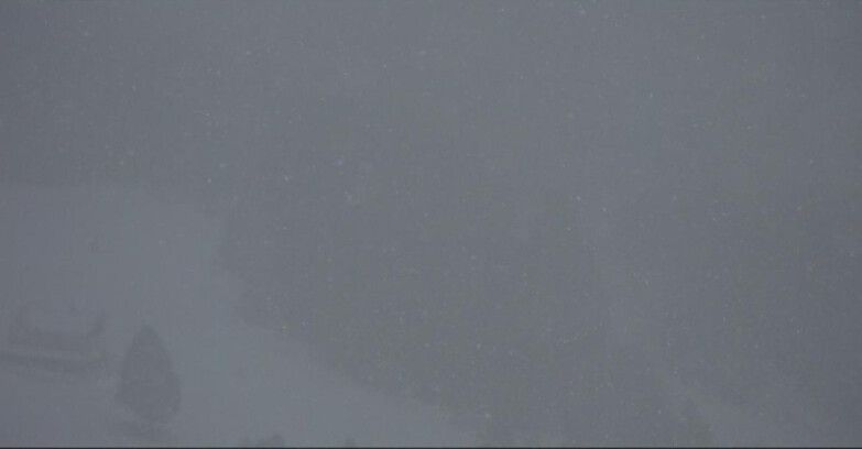 Webcam Pampeago  - Predazzo -  Obereggen - Passo Feudo