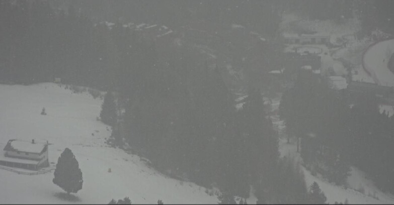 Webcam Pampeago  - Predazzo -  Obereggen - Passo Feudo