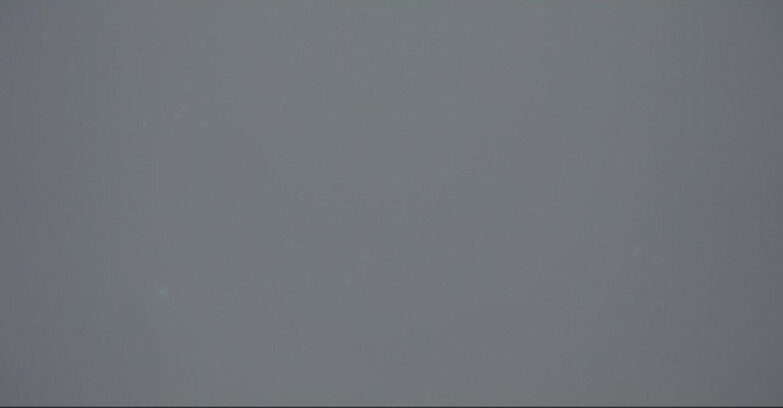 Webcam Pampeago  - Predazzo -  Obereggen - Passo Feudo