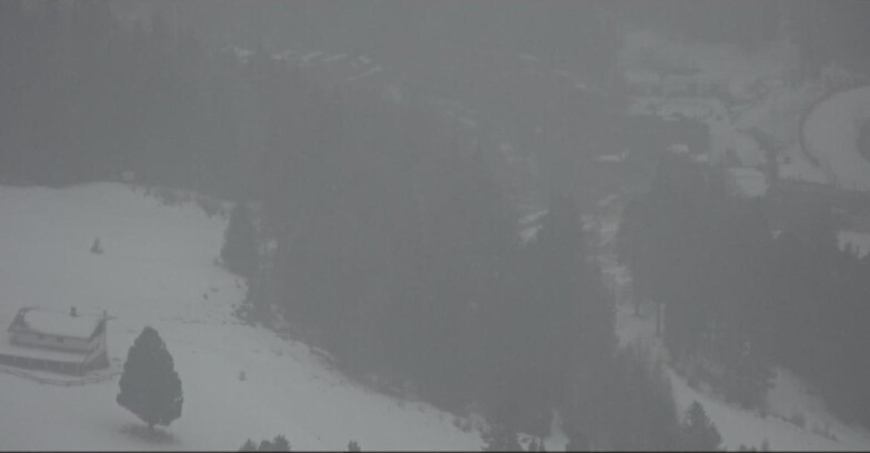 Webcam Pampeago  - Predazzo -  Obereggen - Passo Feudo