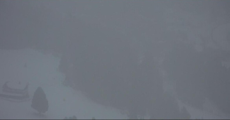 Webcam Pampeago  - Predazzo -  Obereggen - Passo Feudo