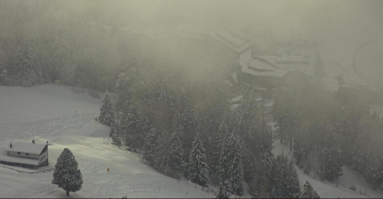 Webcam Pampeago  - Predazzo -  Obereggen - Passo Feudo