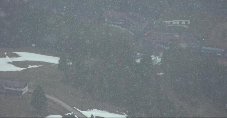 Webcam Pampeago  - Predazzo -  Obereggen - Passo Feudo