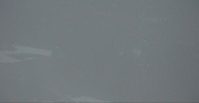 Webcam Pampeago  - Predazzo -  Obereggen - Passo Feudo