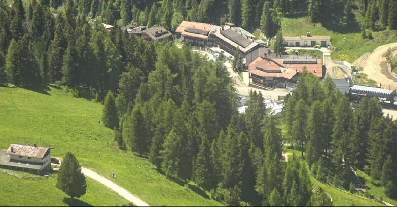 Webcam Pampeago  - Predazzo -  Obereggen - Passo Feudo