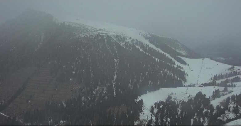 Webcam Pampeago  - Predazzo -  Obereggen - Pala Santa