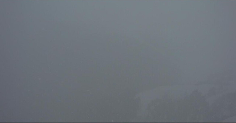 Webcam Pampeago  - Predazzo -  Obereggen - Pala Santa