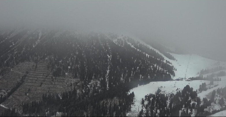 Webcam Pampeago  - Predazzo -  Obereggen - Pala Santa