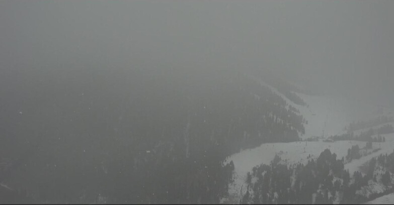 Webcam Pampeago  - Predazzo -  Obereggen - Pala Santa