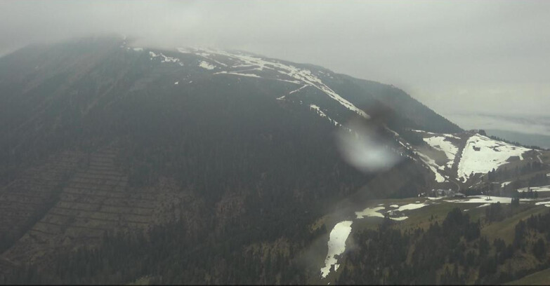 Webcam Pampeago  - Predazzo -  Obereggen - Pala Santa