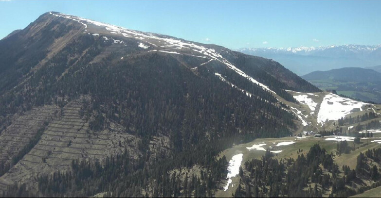 Webcam Pampeago  - Predazzo -  Obereggen - Pala Santa