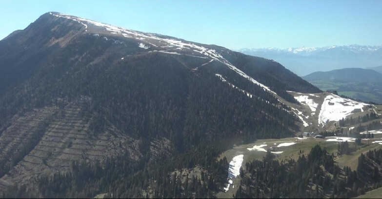 Webcam Pampeago  - Predazzo -  Obereggen - Pala Santa