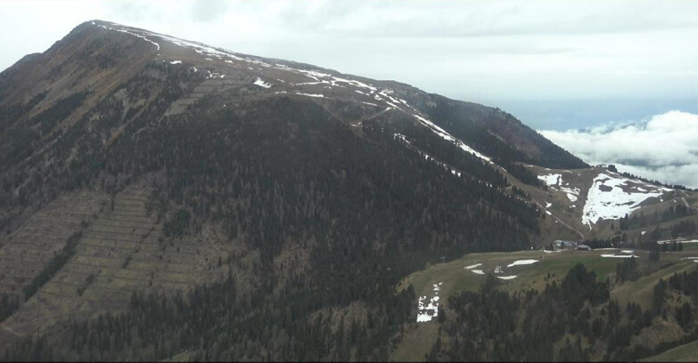 Webcam Pampeago  - Predazzo -  Obereggen - Pala Santa