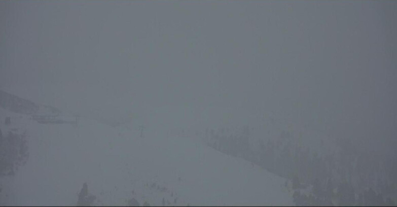 Webcam Pampeago  - Predazzo -  Obereggen - Seggiovia Monte Agnello