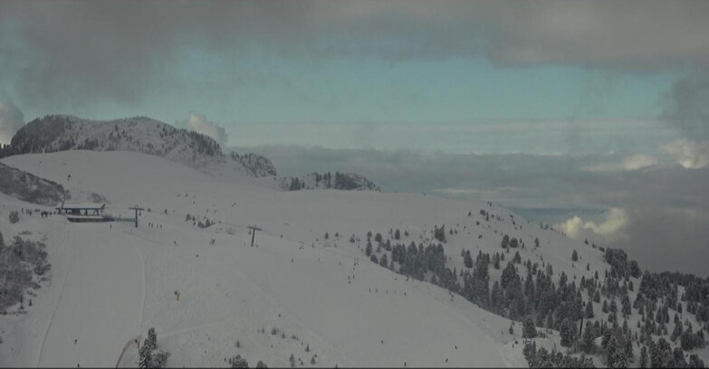 Webcam Pampeago  - Predazzo -  Obereggen - Monte Agnello Sessellifte