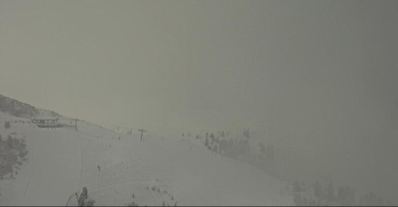 Webcam Pampeago  - Predazzo -  Obereggen - Monte Agnello Sessellifte