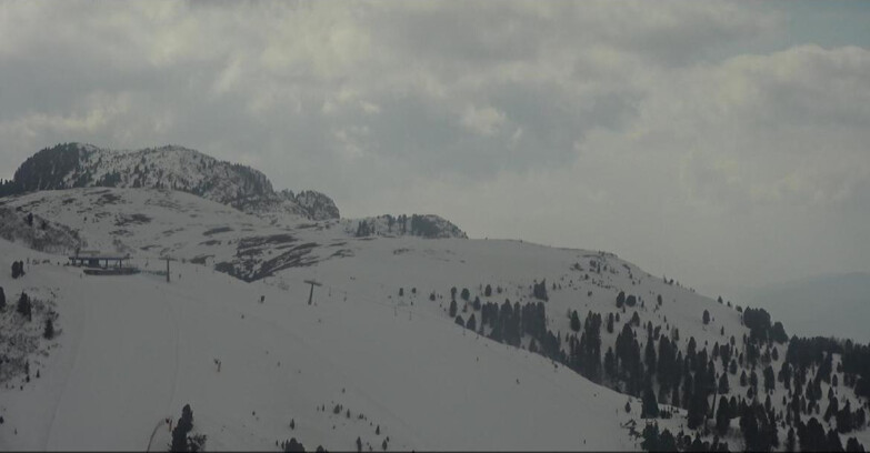 Webcam Pampeago  - Predazzo -  Obereggen - Seggiovia Monte Agnello