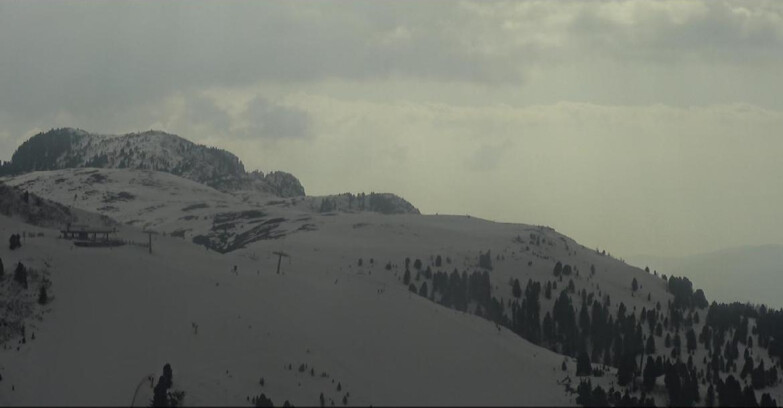 Webcam Pampeago  - Predazzo -  Obereggen - Seggiovia Monte Agnello