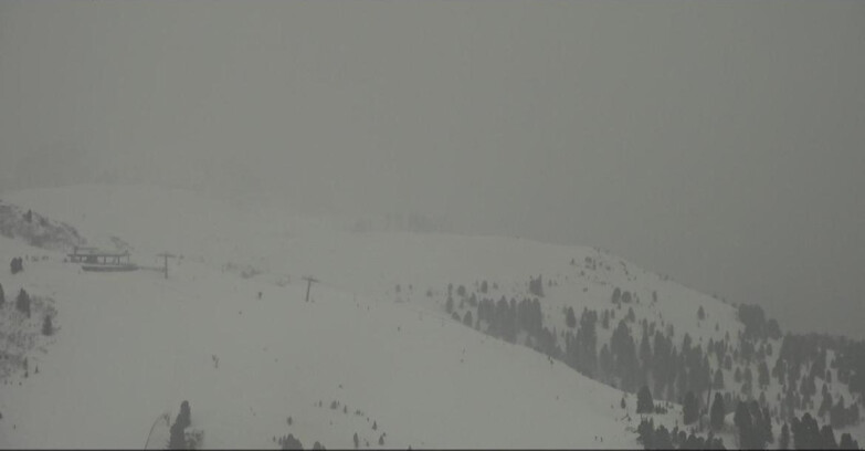 Webcam Пампеаго - Предаццо - Оберегген	 - Chair lift Monte Agnello