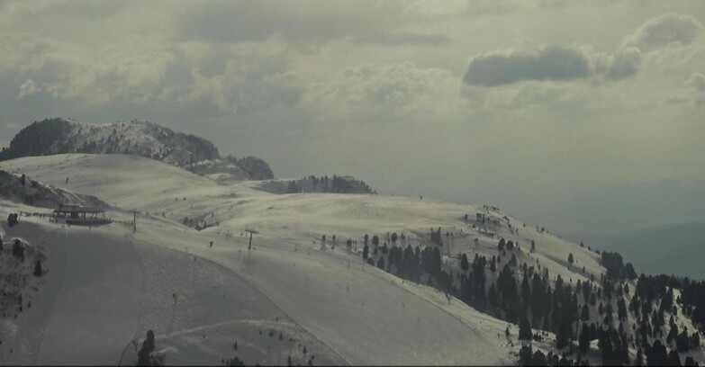 Webcam Пампеаго - Предаццо - Оберегген	 - Chair lift Monte Agnello