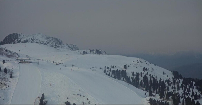 Webcam Пампеаго - Предаццо - Оберегген	 - Chair lift Monte Agnello