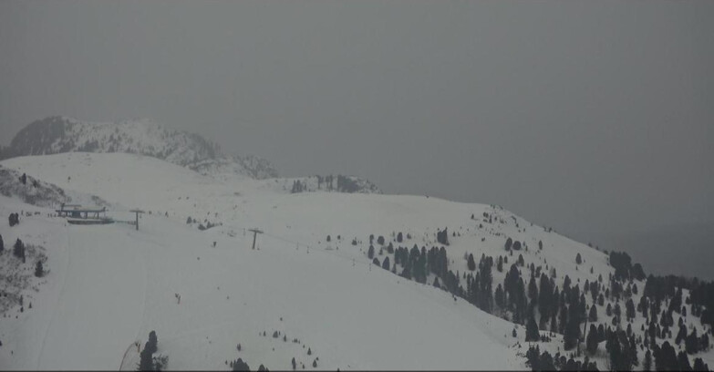 Webcam Пампеаго - Предаццо - Оберегген	 - Chair lift Monte Agnello