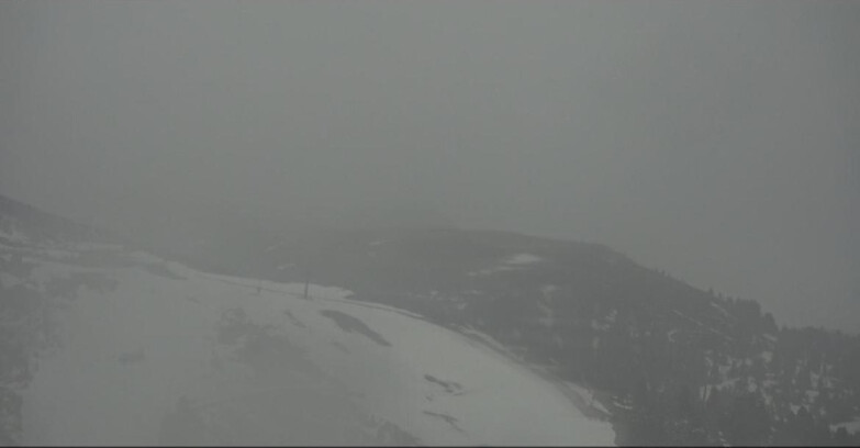 Webcam Pampeago  - Predazzo -  Obereggen - Chair lift Monte Agnello