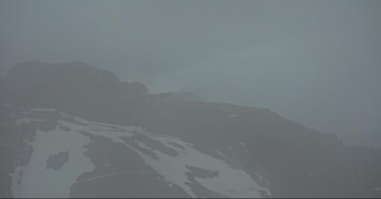 Webcam Pampeago  - Predazzo -  Obereggen - Monte Agnello Sessellifte