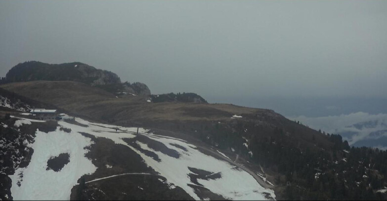 Webcam Pampeago  - Predazzo -  Obereggen - Monte Agnello Sessellifte