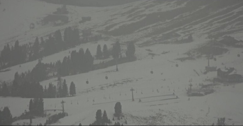 Webcam Pampeago  - Predazzo -  Obereggen - Zischg und Ganischger Berghütten